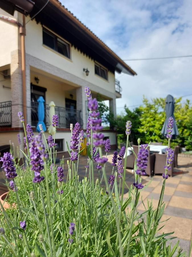 Apartman Nada Ozalj ภายนอก รูปภาพ